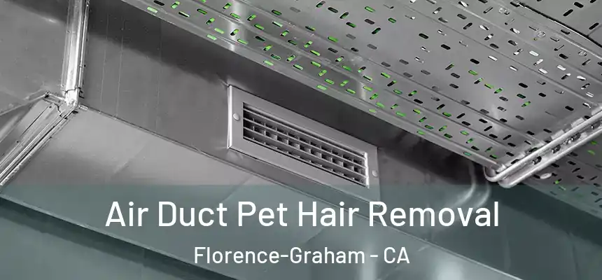 Air Duct Pet Hair Removal Florence-Graham - CA