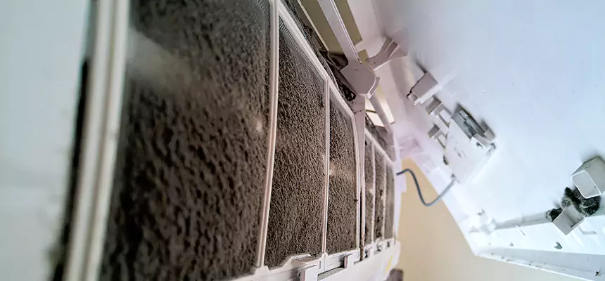 Preventive Air Duct Bacteria Removal in Florence-Graham