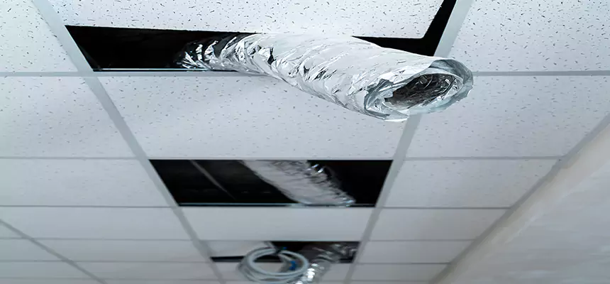 Affordable HVAC Sanitizing After Pest Removal in Florence-Graham