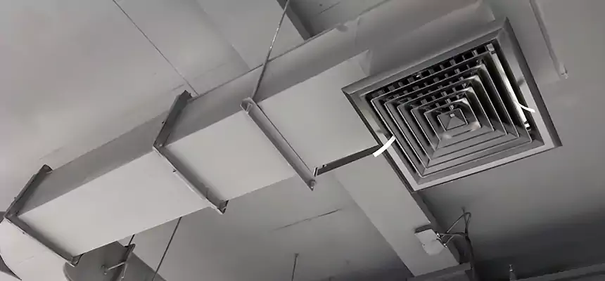 Restorative Allergy Relief Vent Cleaning – Coil, Blower & Housing Detail in Florence-Graham