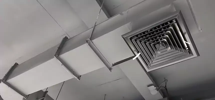 Our Pest Removal From Ducts Services in Florence-Graham, CA