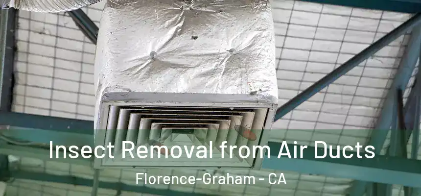 Insect Removal from Air Ducts Florence-Graham - CA