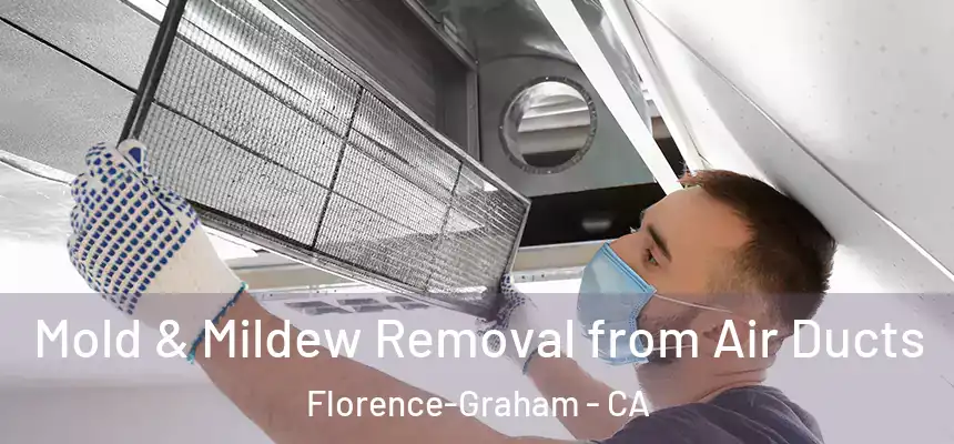 Mold & Mildew Removal from Air Ducts Florence-Graham - CA