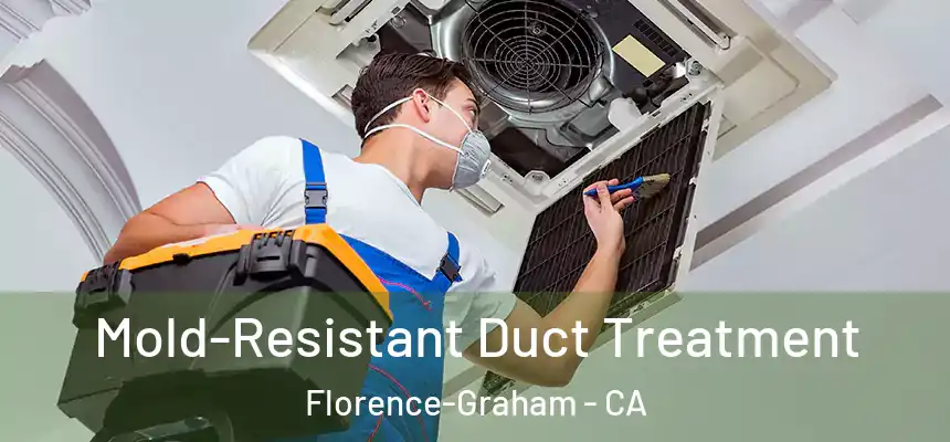 Mold-Resistant Duct Treatment Florence-Graham - CA