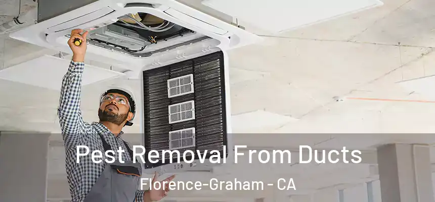 Pest Removal From Ducts Florence-Graham - CA