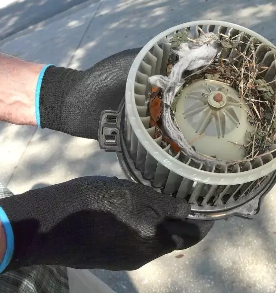 About Air Duct Mice Removal in Florence-Graham, CA