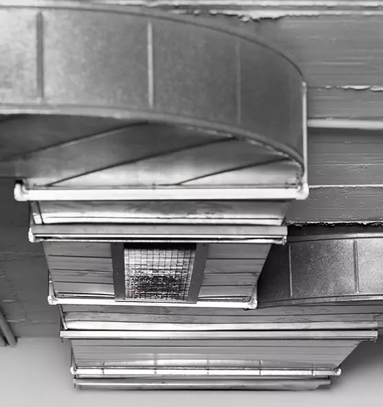 Professional Air Duct Pest Removal in Florence-Graham, CA