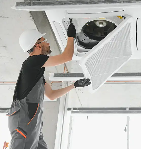 About Air Duct Rodent Removal in Florence-Graham, CA