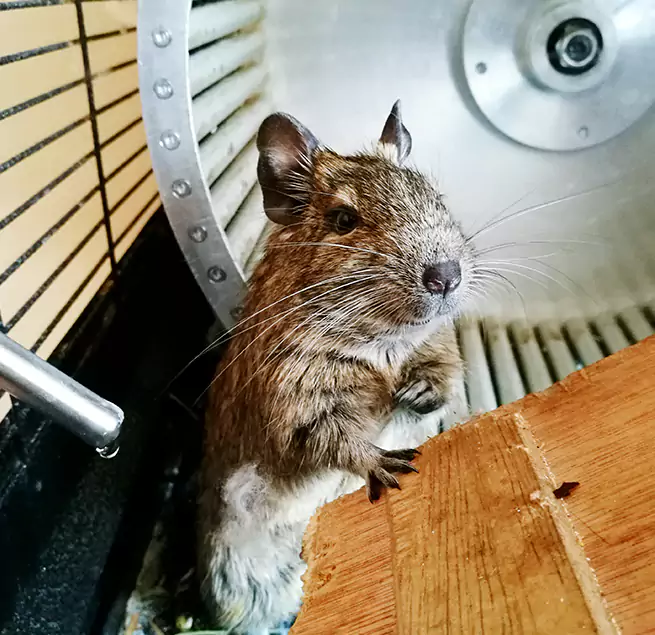 Why Homeowners & Businesses Trust Us Florence-Graham, CA